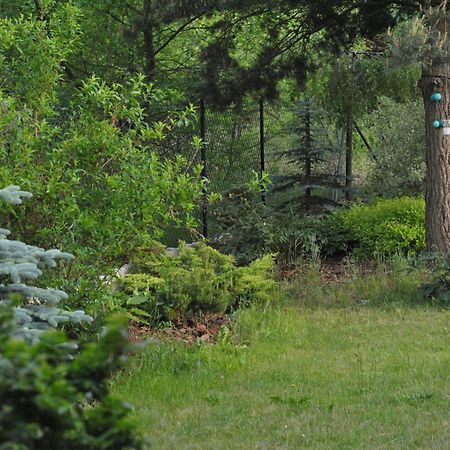 Apartament Wita Niemcz Kültér fotó